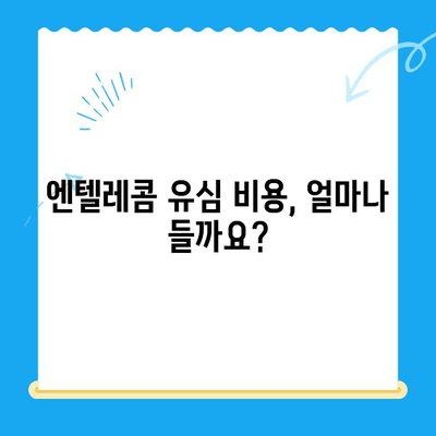 창원 선불폰 개통, 엔텔레콤 유심 비용 알아보기| 간편한 개통 절차와 요금 정보 | 창원, 선불폰, 엔텔레콤, 유심, 개통, 요금