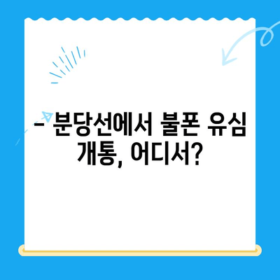분당선 불폰 편의점 유심 개통, 소요 비용 & 시간 안내 | 분당선, 불폰, 유심, 개통, 비용, 시간, 편의점