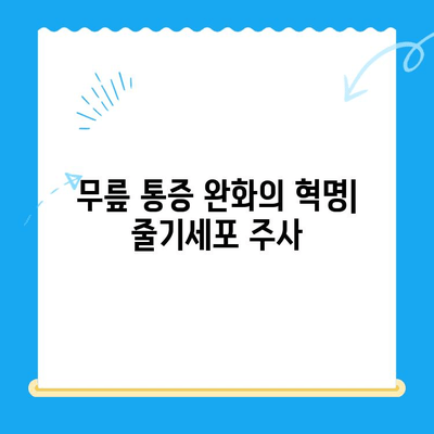 무릎 통증 완화의 혁명| 줄기세포 주사의 효과와 주의사항 | 무릎 통증, 줄기세포 치료, 관절 재생