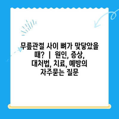 무릎관절 사이 뼈가 맞닿았을 때?  |  원인, 증상, 대처법, 치료, 예방