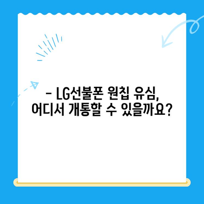 LG선불폰 원칩 유심 개통 완벽 가이드 |  간편하게 개통하는 방법, 요금제 비교, 주의사항