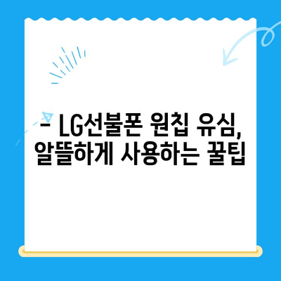 LG선불폰 원칩 유심 개통 완벽 가이드 |  간편하게 개통하는 방법, 요금제 비교, 주의사항