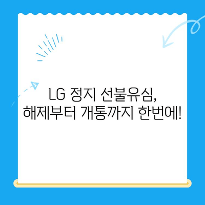 LG 정지 선불유심 개통, 지금 바로 해결하세요! | 정지 해제, 개통 방법, 유심 선택 가이드