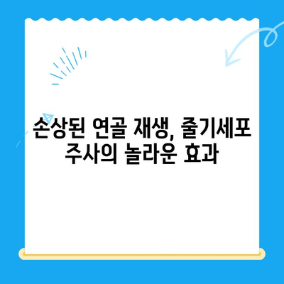 무릎 통증 완화의 혁명| 줄기세포 주사의 효과와 주의사항 | 무릎 통증, 줄기세포 치료, 관절 재생