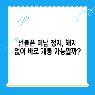 선불폰 미납 정지 후 핸드폰 개통하기| 쉬운 방법 총정리 | 선불폰, 미납, 해지, 개통, 통신사