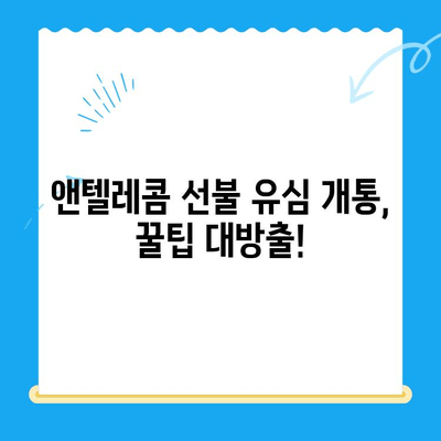 편의점에서 앤텔레콤 선불 유심 개통하는 방법 | 즉시 개통, 요금제 추천, 주의사항