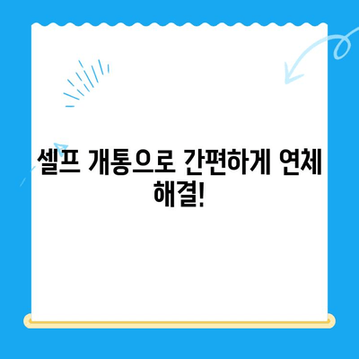 구로 선불폰 연체 해결! 셀프 개통 완벽 가이드 | 선불폰, 연체 해결, 셀프 개통, 구로