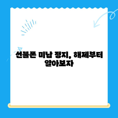 선불폰 미납 정지 후 핸드폰 개통, 어떻게 해야 할까요? | 선불폰, 미납, 정지, 해제, 개통, 가이드