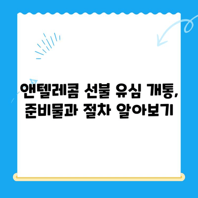 편의점에서 앤텔레콤 선불 유심 개통하고 사용하기| 상세 가이드 | 앤텔레콤, 선불 유심, 개통, 사용법, 편의점