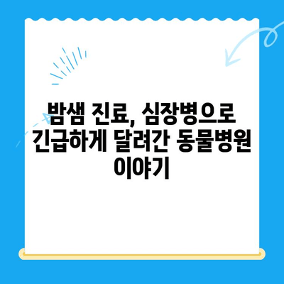 동물병원 24시 심장검사 후기| 밤샘 진료 경험 공유 | 반려동물, 심장병, 응급 진료, 동물병원 추천