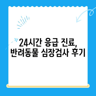 동물병원 24시 심장검사 후기| 밤샘 진료 경험 공유 | 반려동물, 심장병, 응급 진료, 동물병원 추천