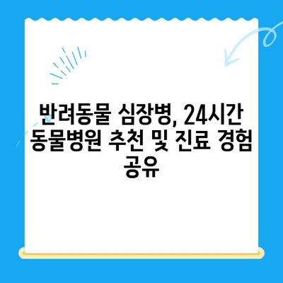 동물병원 24시 심장검사 후기| 밤샘 진료 경험 공유 | 반려동물, 심장병, 응급 진료, 동물병원 추천