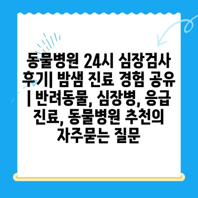 동물병원 24시 심장검사 후기| 밤샘 진료 경험 공유 | 반려동물, 심장병, 응급 진료, 동물병원 추천