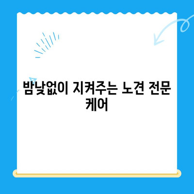 24시간 동물병원 노견 치료 & VIP 건강검진| 믿음직한 동반자를 위한 선택 | 노령견, 건강 관리, 전문 의료 센터