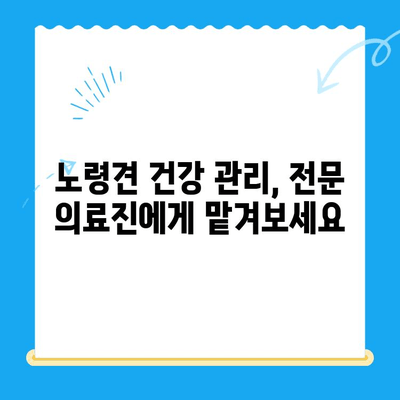 24시간 동물병원 노견 치료 & VIP 건강검진| 믿음직한 동반자를 위한 선택 | 노령견, 건강 관리, 전문 의료 센터