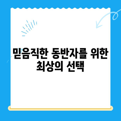 24시간 동물병원 노견 치료 & VIP 건강검진| 믿음직한 동반자를 위한 선택 | 노령견, 건강 관리, 전문 의료 센터