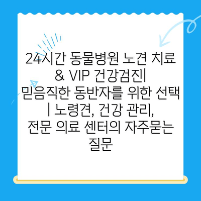 24시간 동물병원 노견 치료 & VIP 건강검진| 믿음직한 동반자를 위한 선택 | 노령견, 건강 관리, 전문 의료 센터