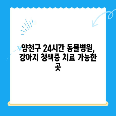 양천구 24시간 동물병원, 강아지 청색증 수술 가능한 곳 | 청색증 증상, 치료, 수술, 비용