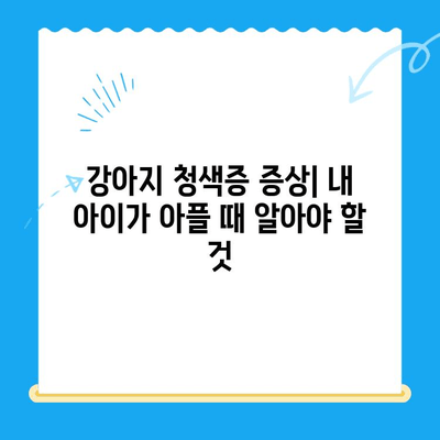 양천구 24시간 동물병원, 강아지 청색증 수술 가능한 곳 | 청색증 증상, 치료, 수술, 비용
