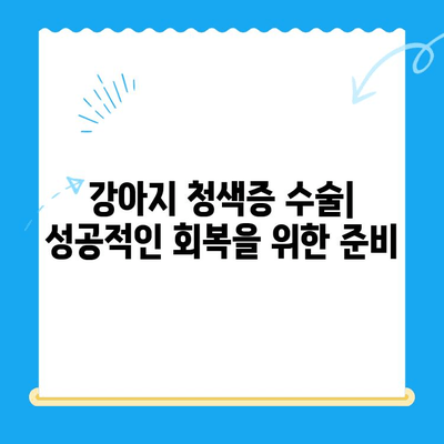 양천구 24시간 동물병원, 강아지 청색증 수술 가능한 곳 | 청색증 증상, 치료, 수술, 비용