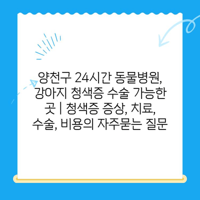 양천구 24시간 동물병원, 강아지 청색증 수술 가능한 곳 | 청색증 증상, 치료, 수술, 비용