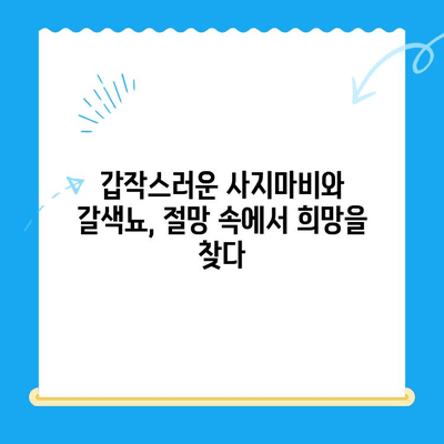 강아지 사지마비와 갈색뇨, 원주 24시 스카이 동물병원 치료 후기| 희망을 찾은 이야기 | 강아지 질병, 사지마비, 갈색뇨, 원주 동물병원, 24시 스카이