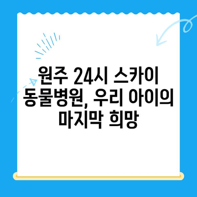 강아지 사지마비와 갈색뇨, 원주 24시 스카이 동물병원 치료 후기| 희망을 찾은 이야기 | 강아지 질병, 사지마비, 갈색뇨, 원주 동물병원, 24시 스카이