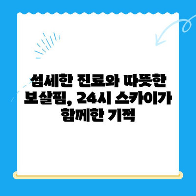 강아지 사지마비와 갈색뇨, 원주 24시 스카이 동물병원 치료 후기| 희망을 찾은 이야기 | 강아지 질병, 사지마비, 갈색뇨, 원주 동물병원, 24시 스카이