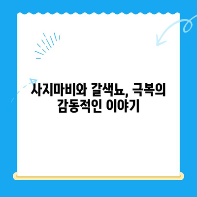 강아지 사지마비와 갈색뇨, 원주 24시 스카이 동물병원 치료 후기| 희망을 찾은 이야기 | 강아지 질병, 사지마비, 갈색뇨, 원주 동물병원, 24시 스카이