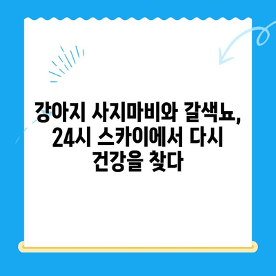 강아지 사지마비와 갈색뇨, 원주 24시 스카이 동물병원 치료 후기| 희망을 찾은 이야기 | 강아지 질병, 사지마비, 갈색뇨, 원주 동물병원, 24시 스카이