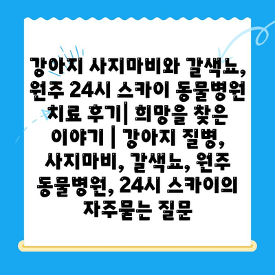 강아지 사지마비와 갈색뇨, 원주 24시 스카이 동물병원 치료 후기| 희망을 찾은 이야기 | 강아지 질병, 사지마비, 갈색뇨, 원주 동물병원, 24시 스카이