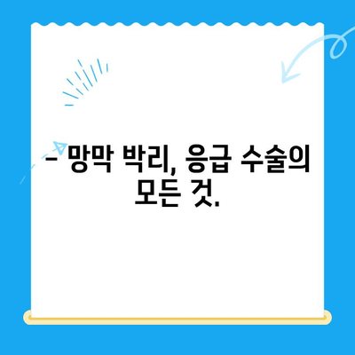 24시간 응급 의료, 망막 박리 수술| 신뢰할 수 있는 손길 | 망막 박리, 응급 수술, 24시간 병원