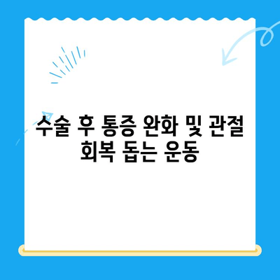 무릎 수술 후 빠른 회복을 위한 효과적인 운동 루틴 | 재활 운동, 무릎 관절, 통증 완화