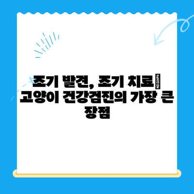 고양이 건강검진, 왜 중요할까요? | 24시 폴 동물병원, 건강 지키는 필수 가이드