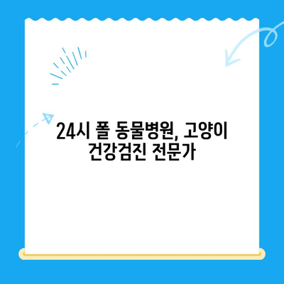 고양이 건강검진, 왜 중요할까요? | 24시 폴 동물병원, 건강 지키는 필수 가이드