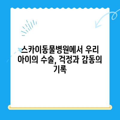 인천 계양 스카이동물병원 수술 후기| 반려동물 건강 회복 이야기 | 수술 과정, 회복 정보, 병원 후기