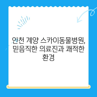인천 계양 스카이동물병원 수술 후기| 반려동물 건강 회복 이야기 | 수술 과정, 회복 정보, 병원 후기