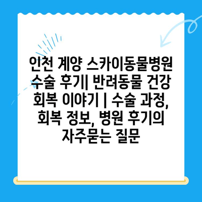 인천 계양 스카이동물병원 수술 후기| 반려동물 건강 회복 이야기 | 수술 과정, 회복 정보, 병원 후기