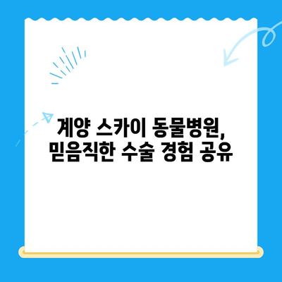 계양 스카이 동물병원 수술 후기| 🐶🐱 만족스러운 경험 공유 | 계양구 동물병원, 반려동물 수술 후기, 수술 경험 공유