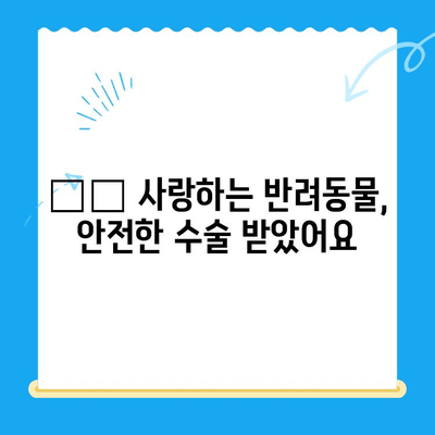 계양 스카이 동물병원 수술 후기| 🐶🐱 만족스러운 경험 공유 | 계양구 동물병원, 반려동물 수술 후기, 수술 경험 공유