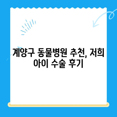 계양 스카이 동물병원 수술 후기| 🐶🐱 만족스러운 경험 공유 | 계양구 동물병원, 반려동물 수술 후기, 수술 경험 공유