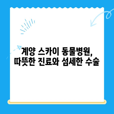 계양 스카이 동물병원 수술 후기| 🐶🐱 만족스러운 경험 공유 | 계양구 동물병원, 반려동물 수술 후기, 수술 경험 공유