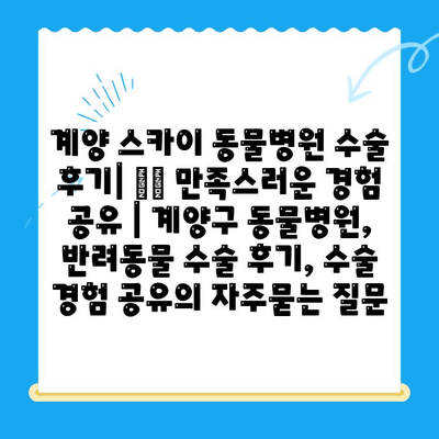 계양 스카이 동물병원 수술 후기| 🐶🐱 만족스러운 경험 공유 | 계양구 동물병원, 반려동물 수술 후기, 수술 경험 공유