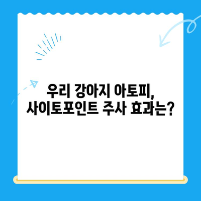 강아지 아토피 피부염, F.24시동물병원 사이토포인트 주사 치료 후기| 효과와 주의사항 | 아토피, 피부염, 강아지, 동물병원, 사이토포인트