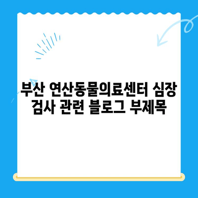 부산 연산동물의료센터 심장 검사| 반려동물 심장 건강 지키기 | 심장병, 진료, 검사, 부산 동물병원