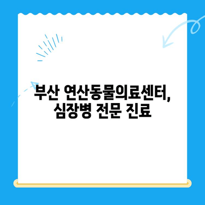 부산 연산동물의료센터 심장 검사| 반려동물 심장 건강 지키기 | 심장병, 진료, 검사, 부산 동물병원