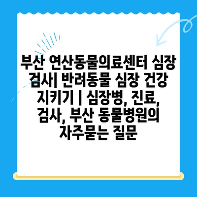 부산 연산동물의료센터 심장 검사| 반려동물 심장 건강 지키기 | 심장병, 진료, 검사, 부산 동물병원