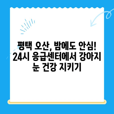 평택 오산 동물병원 응급센터 강아지 안과 검진 후기| 솔직한 경험 공유 | 안과 질환, 눈 건강, 동물병원 추천