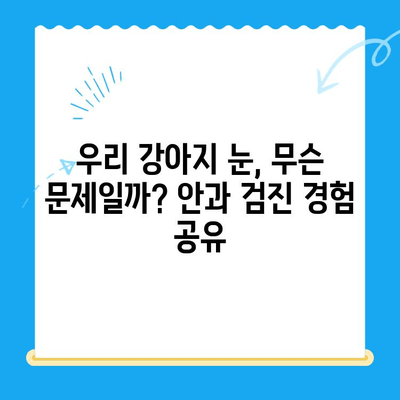 평택 오산 동물병원 응급센터 강아지 안과 검진 후기| 솔직한 경험 공유 | 안과 질환, 눈 건강, 동물병원 추천