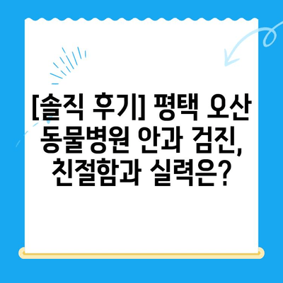 평택 오산 동물병원 응급센터 강아지 안과 검진 후기| 솔직한 경험 공유 | 안과 질환, 눈 건강, 동물병원 추천